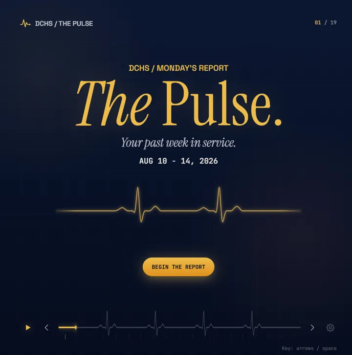 PULSE slide 1: The Pulse.